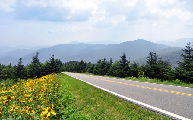 WELCOME TO WEB ASHEVILLE