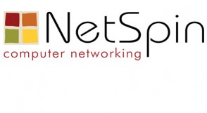 Netspin Logo and Brand Identity